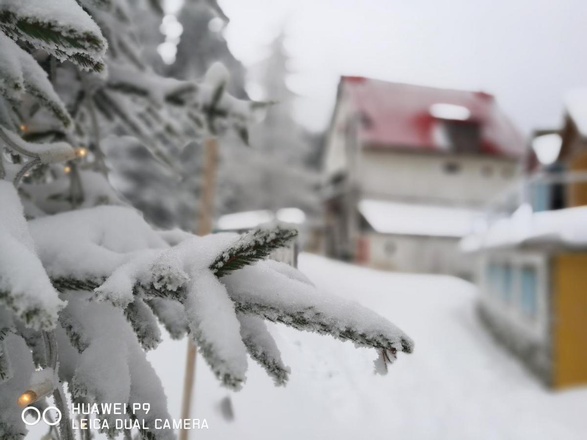 Guest House-Straja Lupeni Lupeni  外观 照片